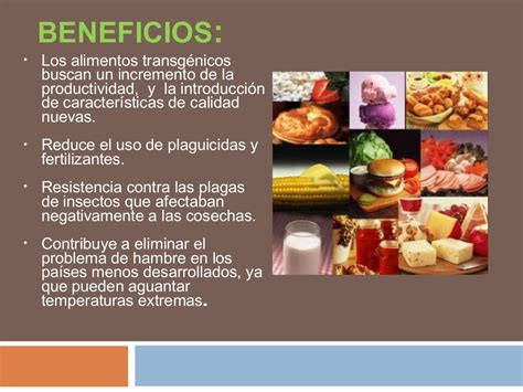 Los Alimentos Transgénicos