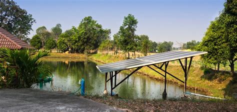 Aquaponie Les Meilleures Pompes Solaires Pour Votre Bassin