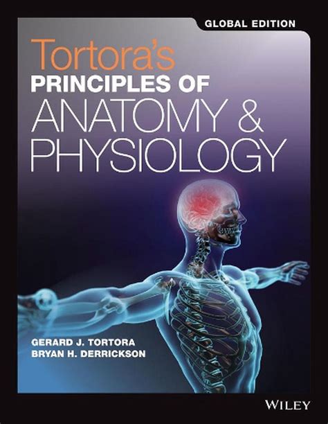 Principles Of Anatomy And Physiology Set 15E Global Edition By Tortora