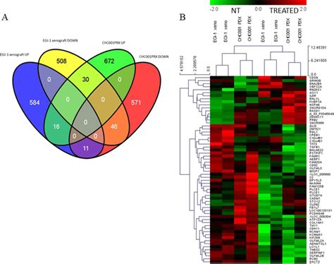 Gene Expression Analysis Of The In Vivo Models After Treatment With