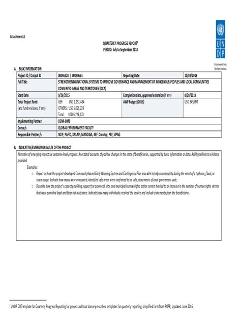 Fillable Online Info Undp Par 20 113 Shared Instrumentation Grant Sig