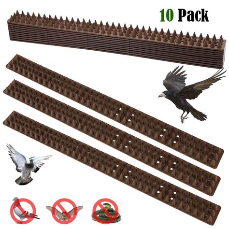 Pluokvzr 10Pcs Fence Wall Spikes Birds Deterrent Repellent Fence Anti