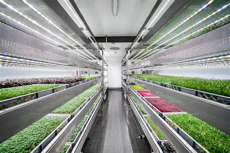 Is Vertical Farming The Future Of Agriculture Killarney Metals