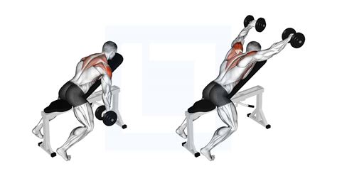 Dumbbell Incline Y Raise Guide Benefits And Form