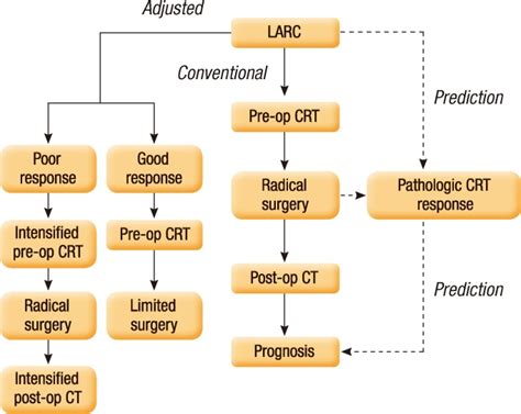 Schematic Diagram Of Multimodality Treatments For Patients With Locally