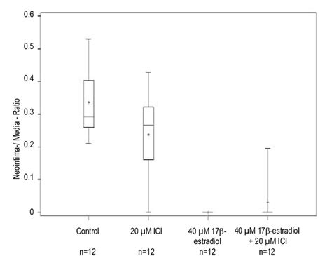 17β estradiol in a concentration of 40 µM caused a significant p