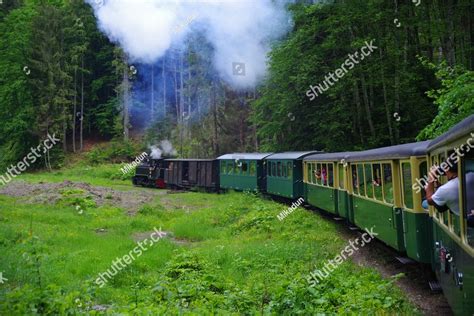 Mocanita Touristic Train The Last Forestry Steam Working Train In