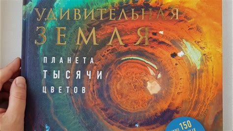 Удивительная Земля. Планета тысячи цветов. Космонавт Сергей Рязанский ...