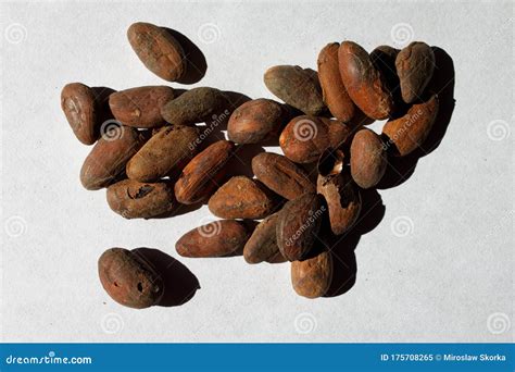 Dry Cocoa Seeds Background Stock Photography | CartoonDealer.com #95411894