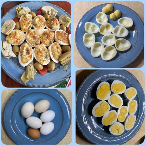 double yoke backyard chickens learn   raise chickens