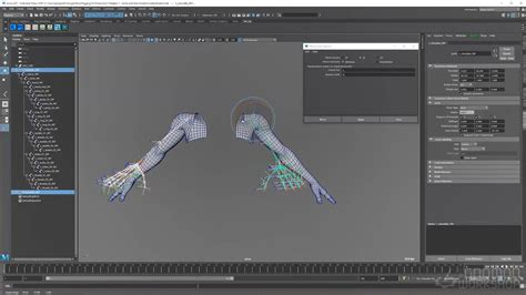 Master Rigging And Python Scripting In Maya Maya Python语言绑定教程 Verycg教程