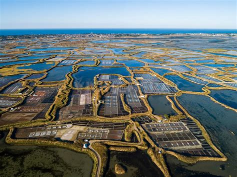 Photos Marais Salants Guerande