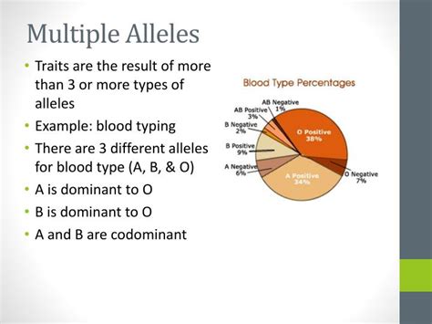 Ppt Adva Nced Genetics Multiple Alleles And Sex Linked Traits