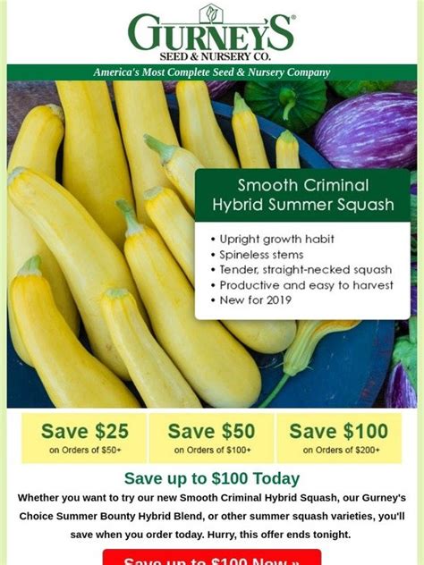 Gurney S Seed And Nursery Save On Smooth Criminal And Other Squash Milled