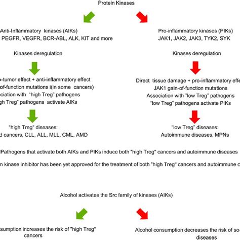 A summary diagram of the protein kinase binary classification model and ...