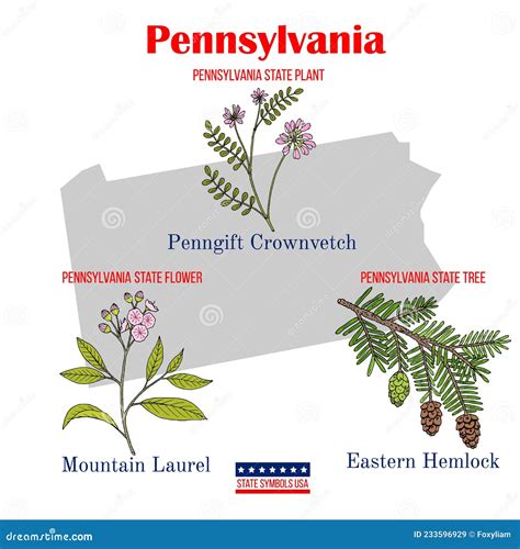 Pennsylvania Set Of Usa Official State Symbols Stock Vector