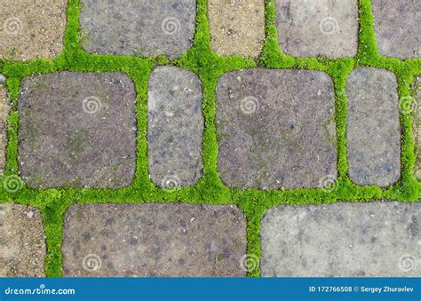 Background Of Gray Stone Tiles With Green Moss Trim At The Seams Stock