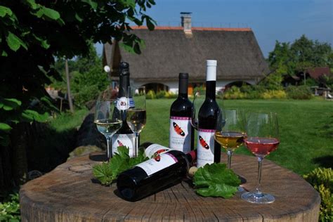 The House Of Wine Cuk Visit Pomurje On The Trail Of Attraction And