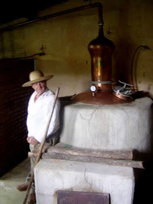 13 de SETEMBRO dia dela Cachaça pinga cana ou caninha marvada