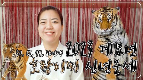 수원점집 2023년 계묘년 호랑이띠🐅 운세를 알려드립니다 50년생 62년생 74년생 86년생 98년생 들어오세요