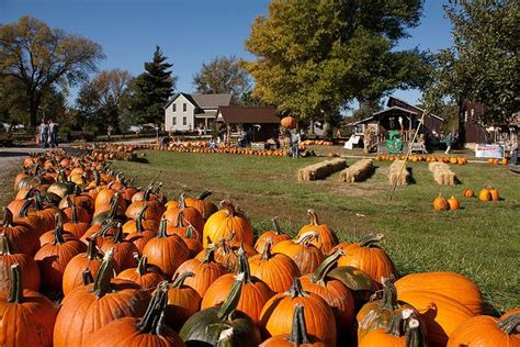 Roca Berry Farm | Pumpkin patch, haunted house | Farm, Nebraska, Scary farm