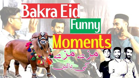 Bakra Eid Funny Moments Funny Stories Eid Special Episode