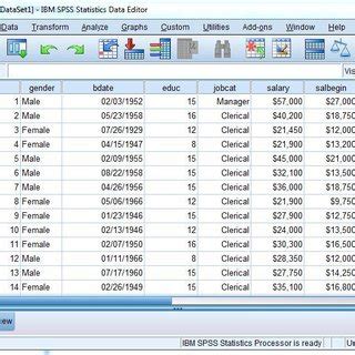 SPSS Statistics 24 Custom Tables