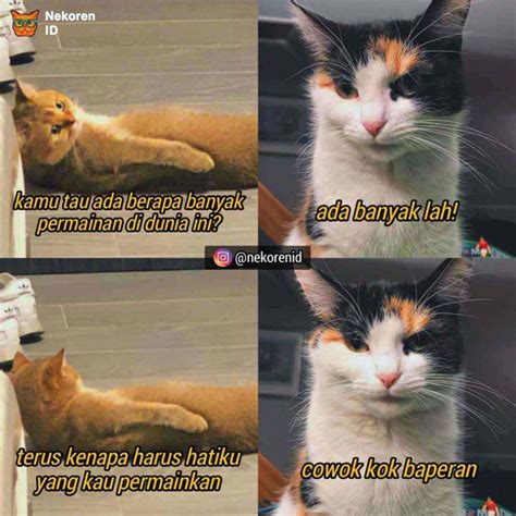 Nyesek Meme Kucing Oren Ala Sadboy Ini Kocak Sekaligus Kasihan