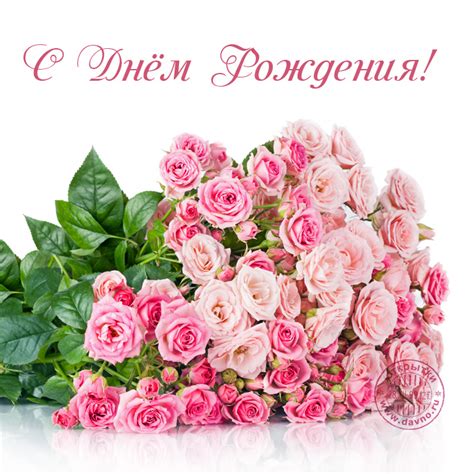 Поздравления с Днем Рождения