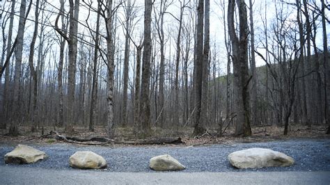 Local shoppers react to Forbury Retail Park parking fees 18