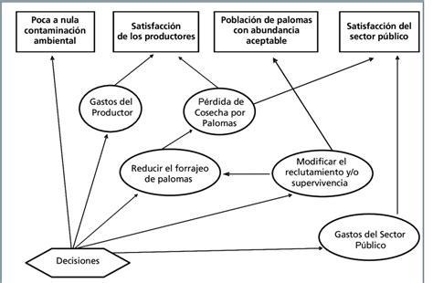 Diagrama De Influencia Mostrando Las Relaciones De Los Objetivos