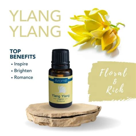 Ylang Ylang Essential Oil Airome