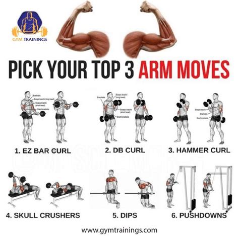 Muscular Forearms Workout