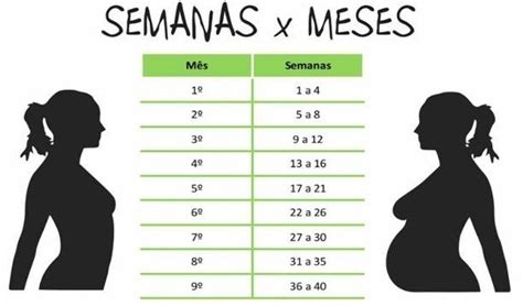 36 Semanas São Quantos Meses De Gestação By Dicas Materna Medium