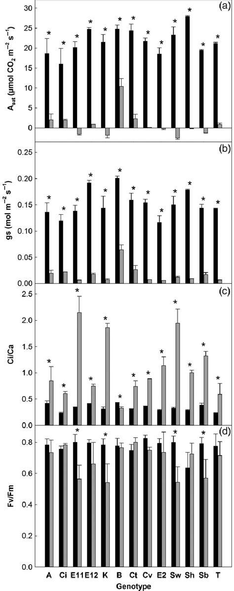 A Leaf Level Co Assimilation Rate A Sat B Stomatal Conductance