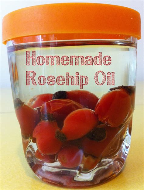 Homemade Rosehip Oil Lulastic And The Hippyshake