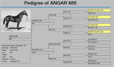 Line Breeding And The Naked Foal Syndrome Sweet Water Farm Akhal Teke