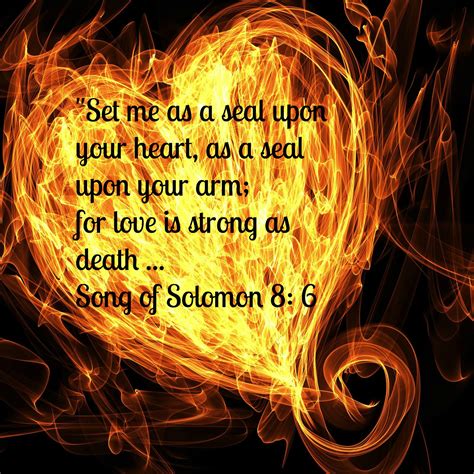 Song Of Solomon The Message Andersonmyda