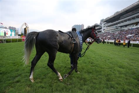 【速報版】8レース クイーンエリザベス2世カップ（芝2000m G1｜2019香港チャンピオンズデー現地取材レポート｜日本馬の世界挑戦！現地