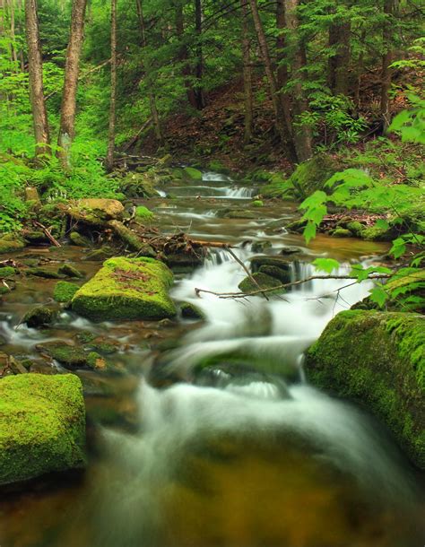 Images Gratuites Paysage Arbre Eau La Nature Cascade Ruisseau