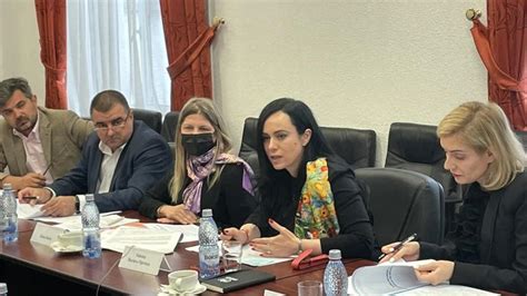 Ministerul Muncii Comisia Na Ional De Incluziune Social A Devenit