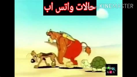 حالات واتس اب مضحكة 😂😂 شوب كتير 😰😨 Youtube