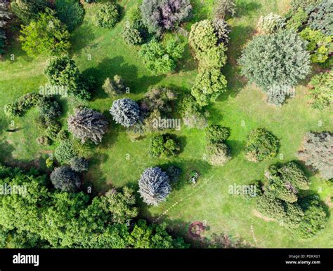 birds eye view of summer park landscape. natural background. aerial ...