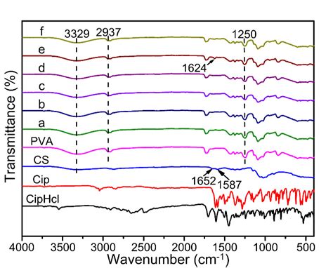 Fourier Transform Infrared Spectroscopy FTIR Spectra Of Pure CS