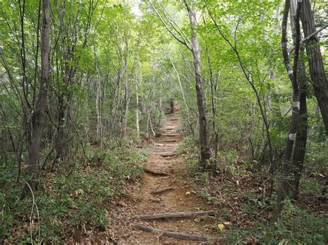 山梨手ぬぐいキャンペーン④～中山・中山砦 Uapapaさんの中山・中山砦の活動データ Yamap ヤマップ
