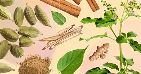 9 Ayurvedic Herbs And Spices Their Health Benefits