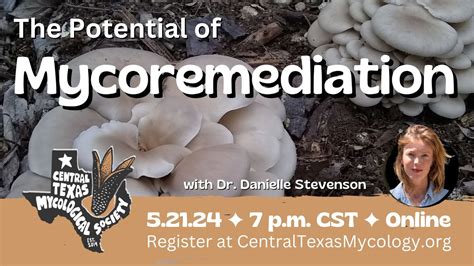 The Potential Of Mycoremediation YouTube