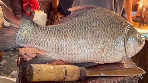 Amazing Giant Katla Fish Cutting Skills Live In Fish Market Fish