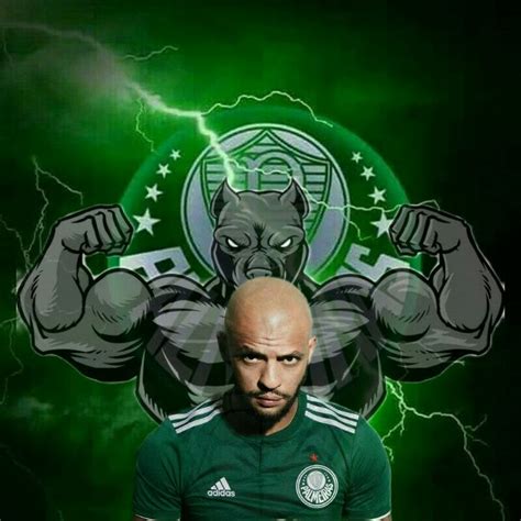 Pin De Claudemir Rufini Em Palmeiras Futebol Wallpaper Palmeiras