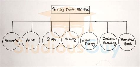 Thurstones Multiple Factor Theory Pma Explained Studiousguy